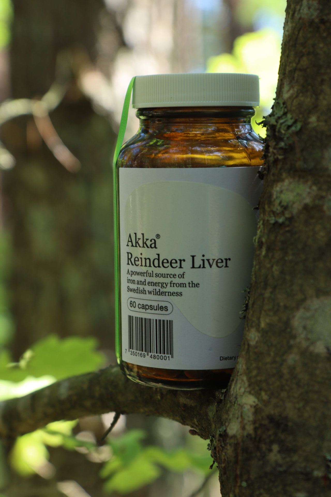 Akka Reindeer Liver bottle resting in a mossy tree fork